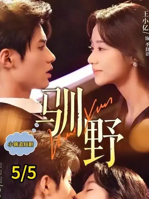 港剧黑色月光剧集海报